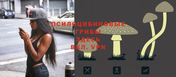 эйфоретик Алексеевка