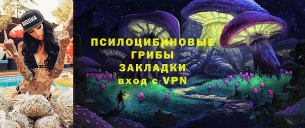 трава Абаза