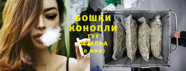 трава Абаза